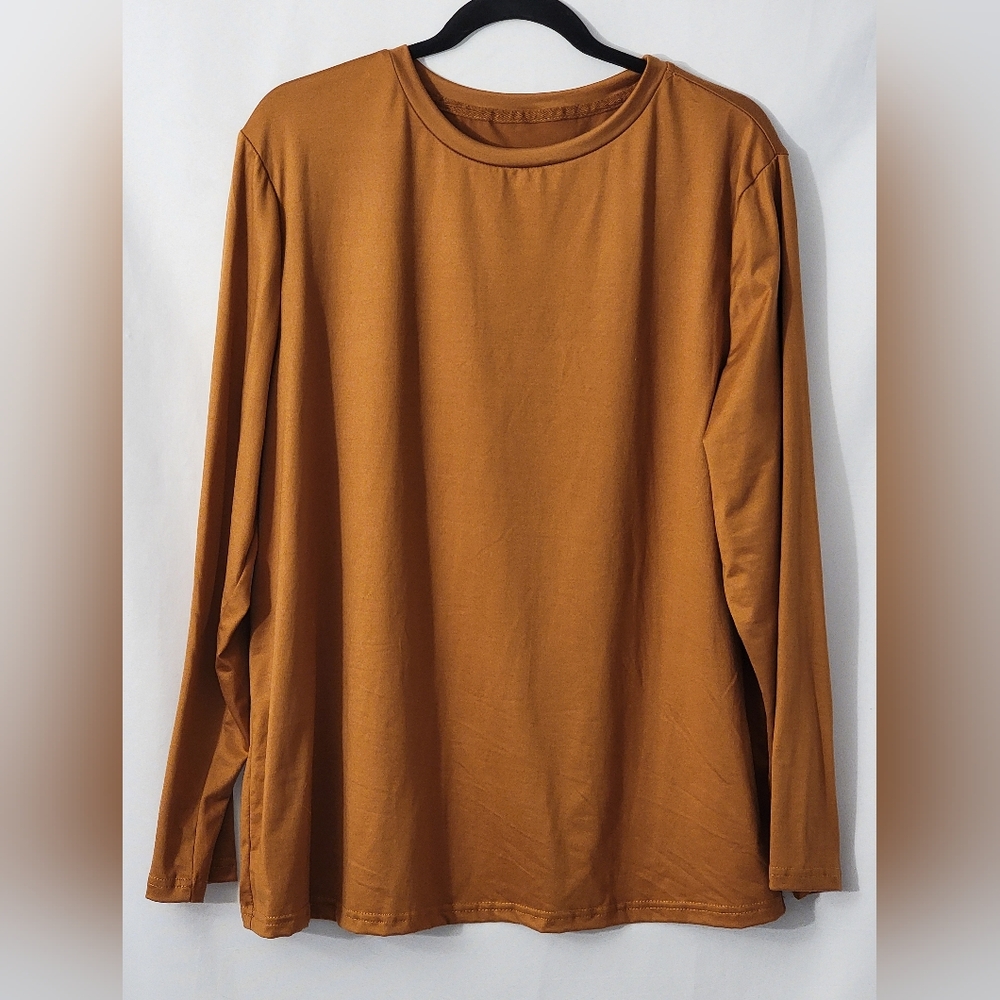 Brown Long Sleeve Top Sixe 2XL
